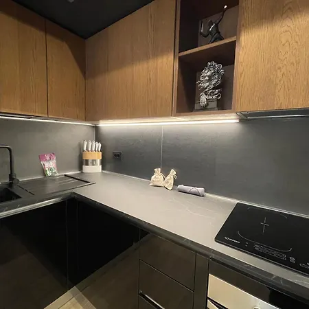 Apartment Superior 1br - Fully Renovated & Equipped - Prime Centre Location - Garibaldi#2 - Parking *