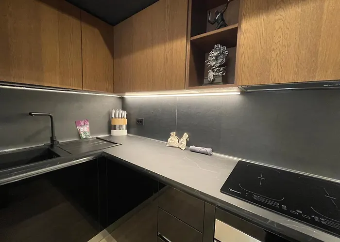 Apartament Superior 1br - Fully Renovated & Equipped - Prime Centre Location - Garibaldi#2 - Parking *